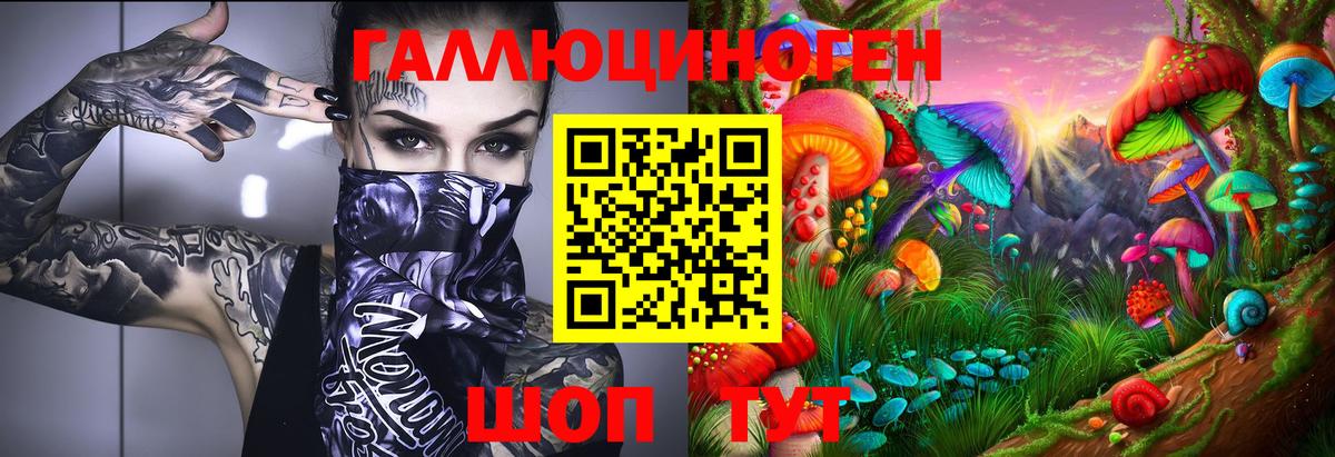 Псилоцибиновые грибы мицелий Саяногорск