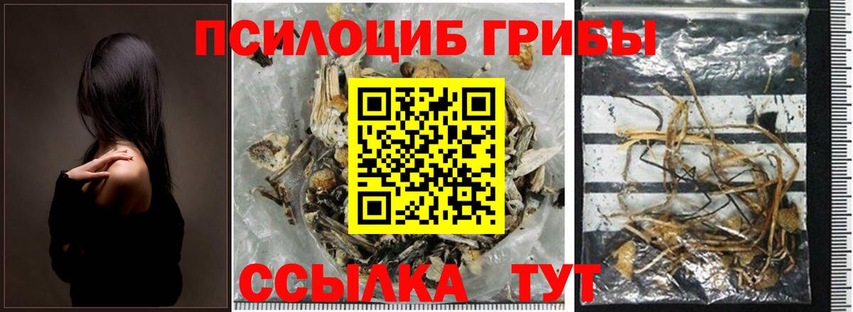 Галлюциногенные грибы Psilocybe  Вход с VPN  Саяногорск  Галлюциногенные грибы MAGIC MUSHROOMS 